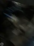 Trallers pārdod
