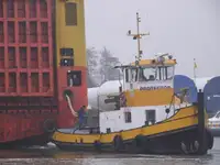 Vilcējs pārdod