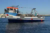 Velkonis pārdošanā