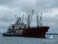 Reefer kuģis pārdod