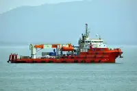 Velkonis pārdošanā