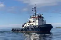 Velkonis pārdošanā