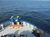 Reefer kuģis pārdod
