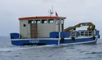Velkonis pārdošanā