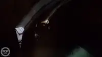 Trallers pārdod