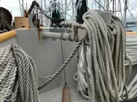Trallers pārdod
