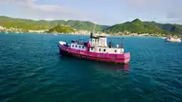 General Cargo/Multi-purpose pārdod