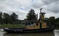 Velkonis pārdošanā