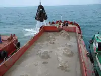 Bārža pārdod