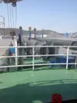 Dredžs pārdod