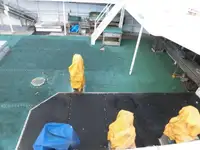 Trallers pārdod