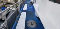 Katamarāns pārdod
