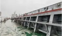 Beramkravu pārvadātājs pārdod