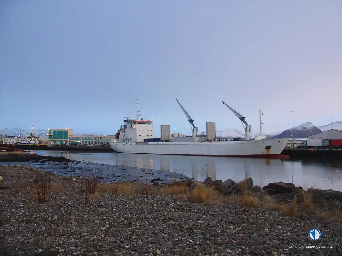 Reefer kuģis pārdod
