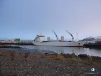 Reefer kuģis pārdod