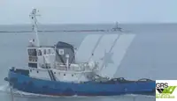 Velkonis pārdošanā