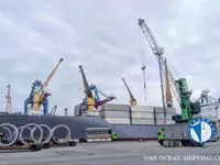 Reefer kuģis pārdod