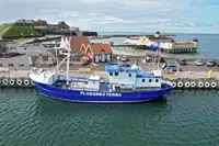 Trallers pārdod