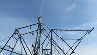 Trallers pārdod