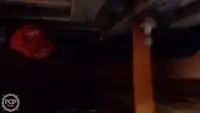 Trallers pārdod