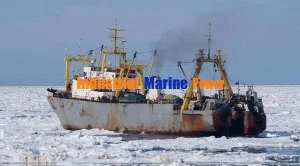 Reefer kuģis pārdod