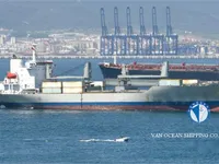 Reefer kuģis pārdod