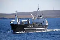 Beramkravu kuģis pārdošanā