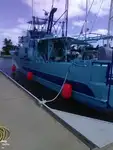Trallers pārdod