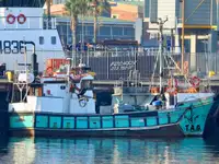 Purse seiner pārdošanā