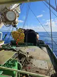 Purse seiner pārdošanā