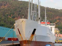 Reefer kuģis pārdod