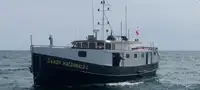 Velkonis pārdošanā