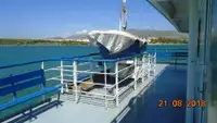 Ro-Ro ship pārdošanā
