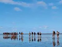 Bārža pārdod