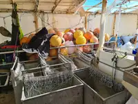 Garā līnija zvejas kuģis pārdod