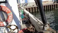 Trallers pārdod