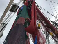 Trallers pārdod
