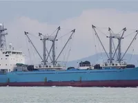 Reefer kuģis pārdod