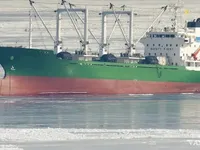 Reefer kuģis pārdod