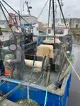 Dzīvu zivju pārvadājumu kuģis pārdod