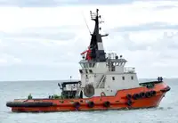 Vilcējs pārdod