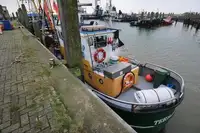 Trallers pārdod