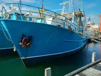Trawler pārdošanā