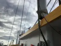 Trallers pārdod