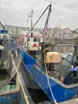 Dzīvu zivju pārvadājumu kuģis pārdod