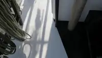 Trallers pārdod