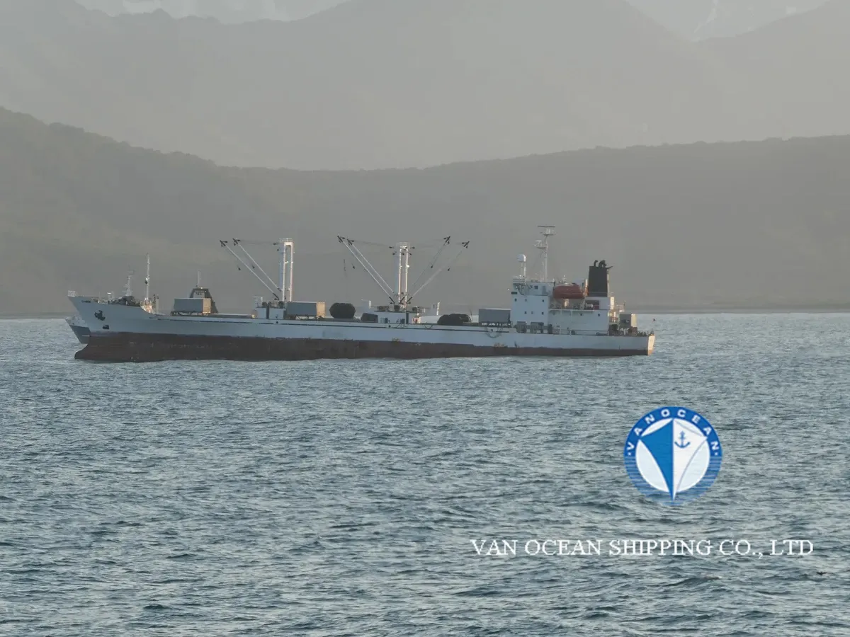 Reefer kuģis pārdod