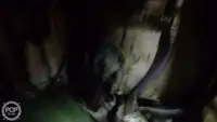 Trallers pārdod