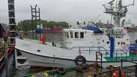 Velkonis pārdošanā