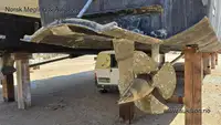 Katamarāns pārdod